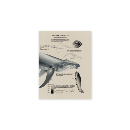 Libreta de Bolsillo SOS