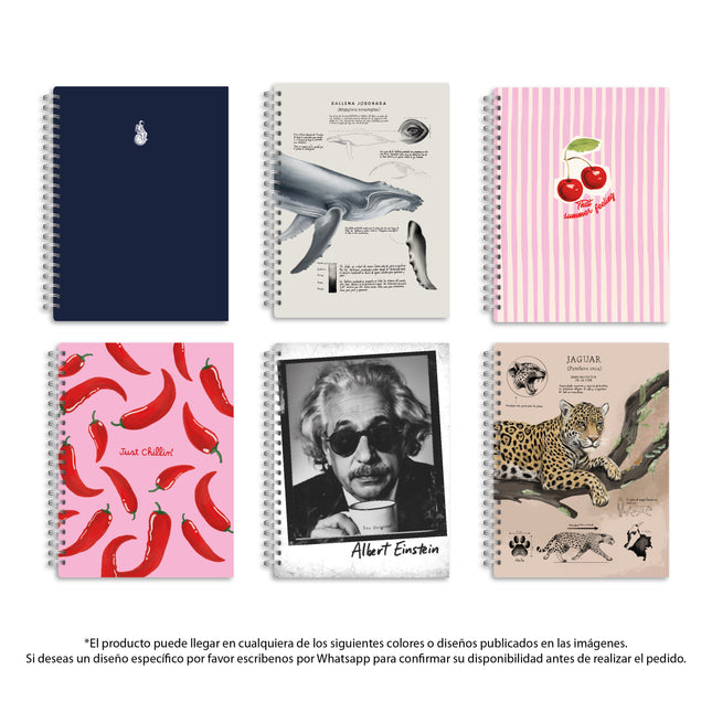 Cuaderno Argollado 1 Materia Rayado Grande SOS